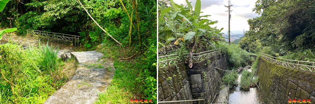 pic pimg tw look2up 1658983946 2329392499 g jpg