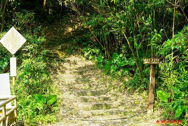 pic pimg tw look2up 1658983946 822980479 g n jpg