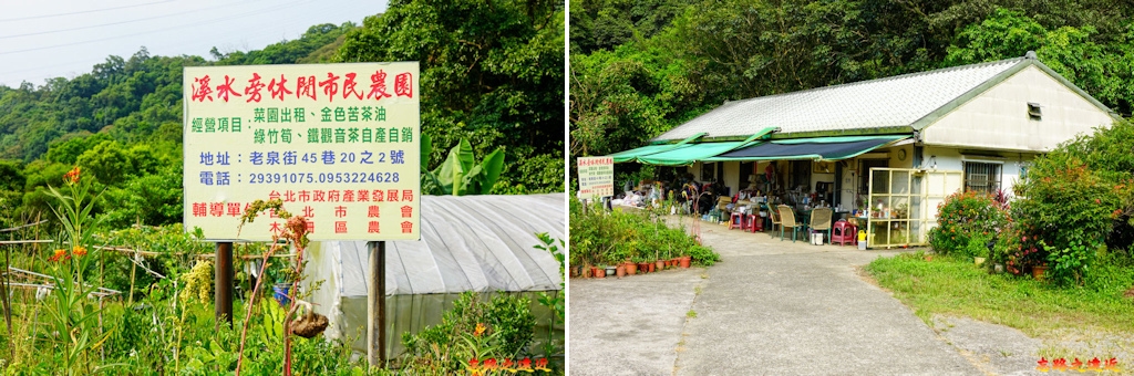 pic pimg tw look2up 1658983947 3781636076 g jpg