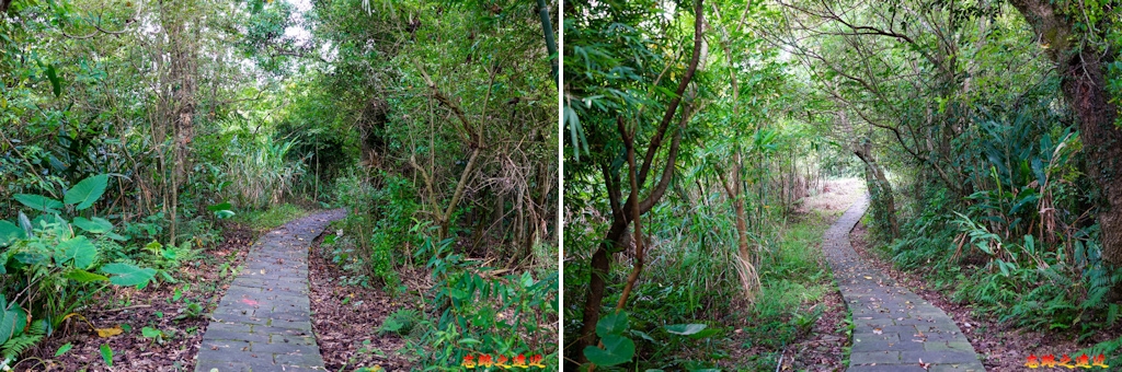 pic pimg tw look2up 1660971906 198322993 g jpg