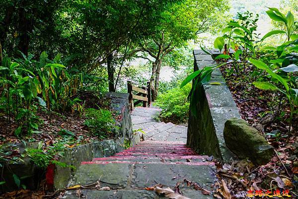 pic pimg tw look2up 1660971909 1621817604 g n jpg