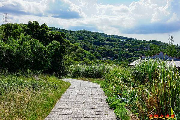 【台北.文山區】<步道散策> 「樟樹步道」『貓纜貓空站 - 樟山寺』 - 貓空步道群之 5 5 pic pimg tw look2up 1661832969 3435731219 g n jpg