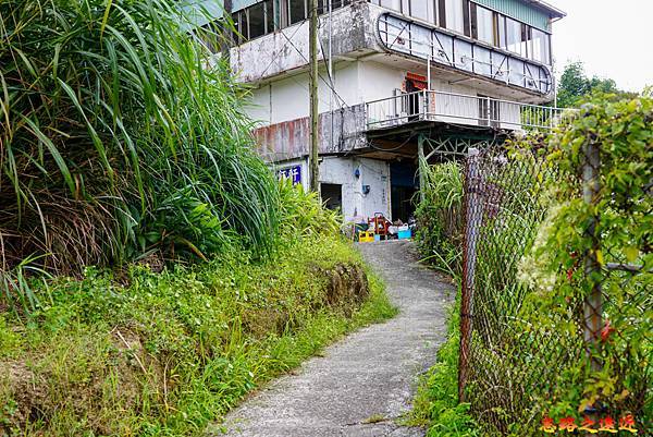 pic pimg tw look2up 1662954170 1794072033 g n jpg