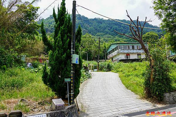 pic pimg tw look2up 1662954170 3883197247 g n jpg