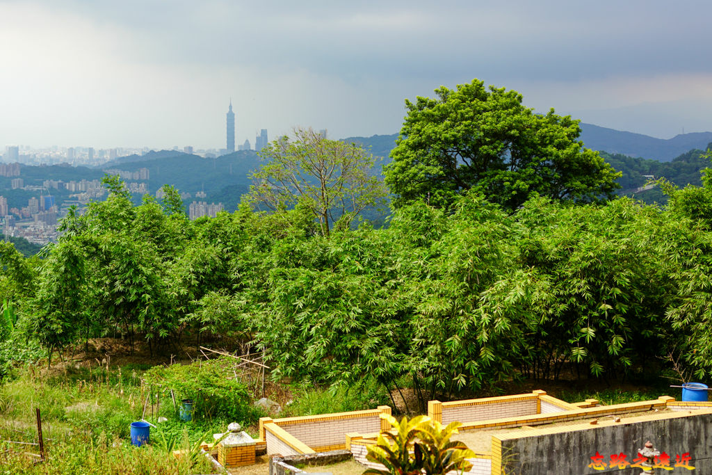 pic pimg tw look2up 1662954174 2660703382 g jpg