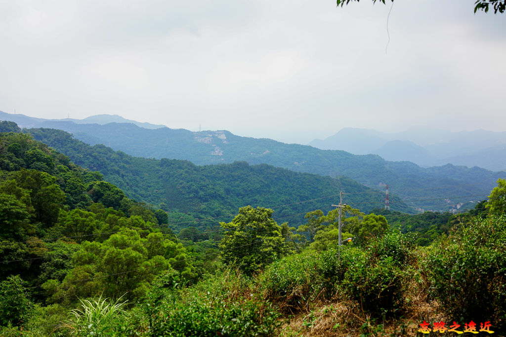 pic pimg tw look2up 1662954174 3947530529 g jpg