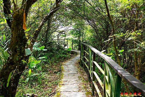 pic pimg tw look2up 1662954174 828364200 g n jpg