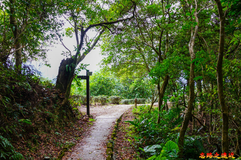 pic pimg tw look2up 1662954174 983484079 g jpg