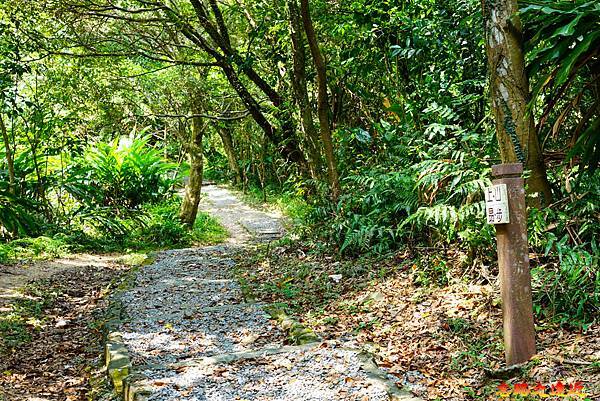 pic pimg tw look2up 1662954179 2910624269 g n jpg