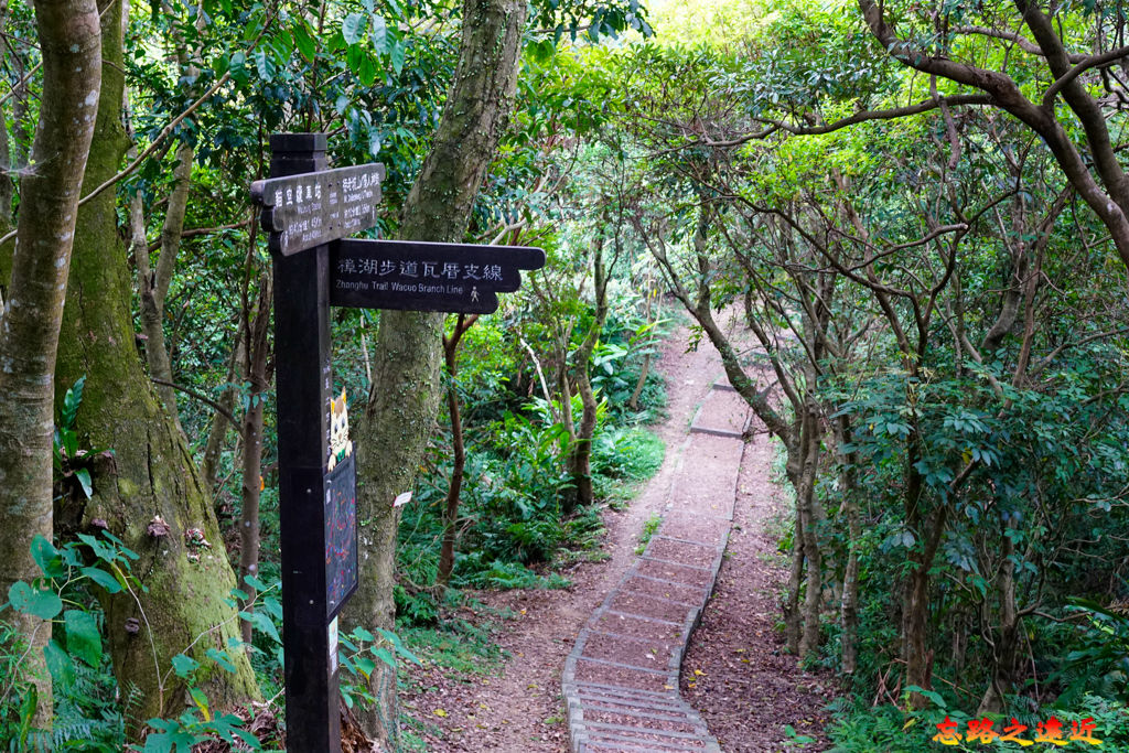 pic pimg tw look2up 1662954179 327289787 g jpg