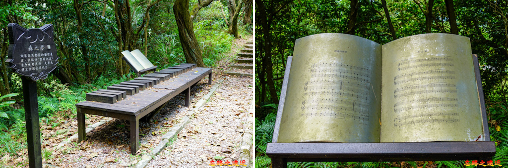 pic pimg tw look2up 1662954180 2322175034 g jpg