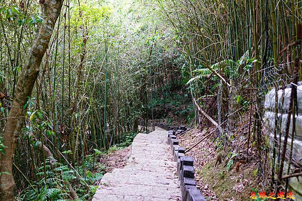 pic pimg tw look2up 1662954180 373339878 g n jpg