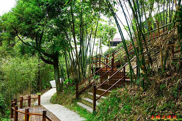 pic pimg tw look2up 1662954182 1931358749 g n jpg