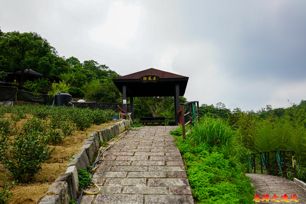 pic pimg tw look2up 1662954183 1865684160 g jpg