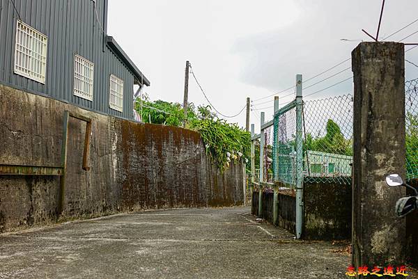 pic pimg tw look2up 1662954184 3362109101 g n jpg