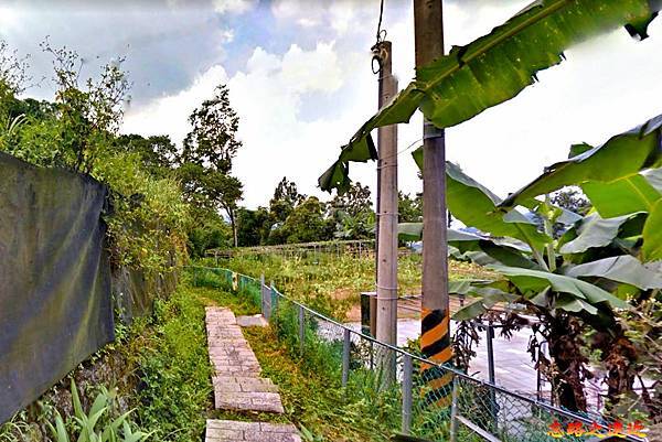 pic pimg tw look2up 1663477710 2877329710 g n jpg