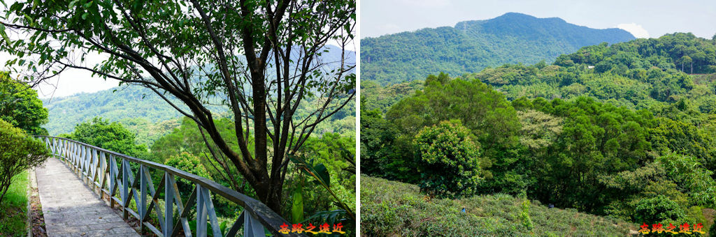 【台北.文山區】<步道散策>「三玄宮步道 (茶路古道)」- 貓空步道群之 7 7 pic pimg tw look2up 1664852186 2016728966 g jpg