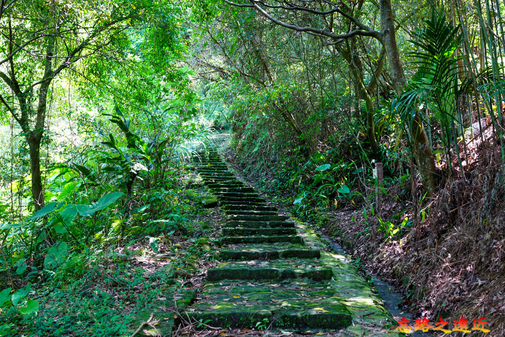 【台北.文山區】<步道散策>「三玄宮步道 (茶路古道)」- 貓空步道群之 7 28 pic pimg tw look2up 1664852209 3728085130 g jpg