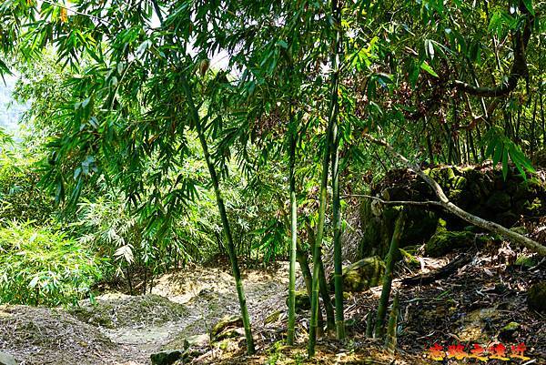 【台北.文山區】<步道散策>「三玄宮步道 (茶路古道)」- 貓空步道群之 7 34 pic pimg tw look2up 1664852215 3758482991 g n jpg