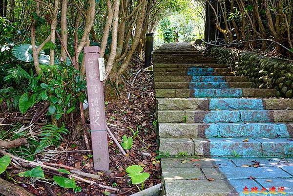 pic pimg tw look2up 1665634142 1861380926 g n jpg