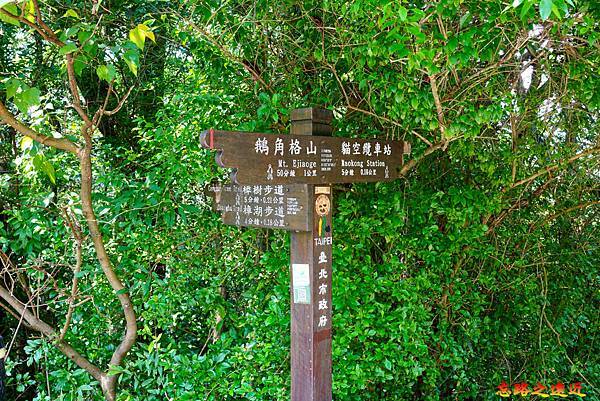 pic pimg tw look2up 1665634142 2124357243 g n jpg