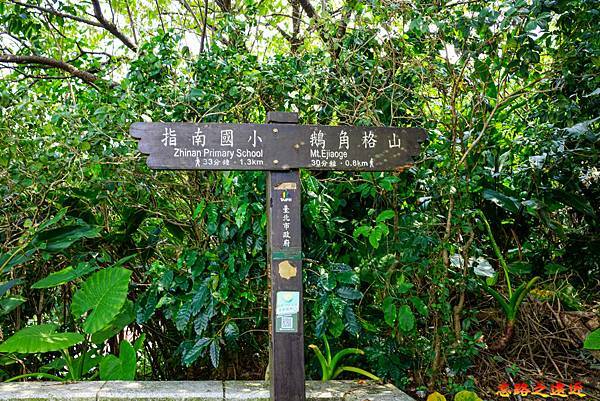 pic pimg tw look2up 1665634142 2843913846 g n jpg