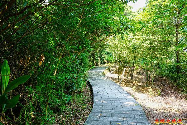 pic pimg tw look2up 1665634142 4010748398 g n jpg