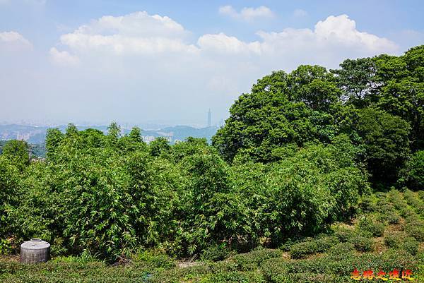 pic pimg tw look2up 1665634145 1468484902 g n jpg