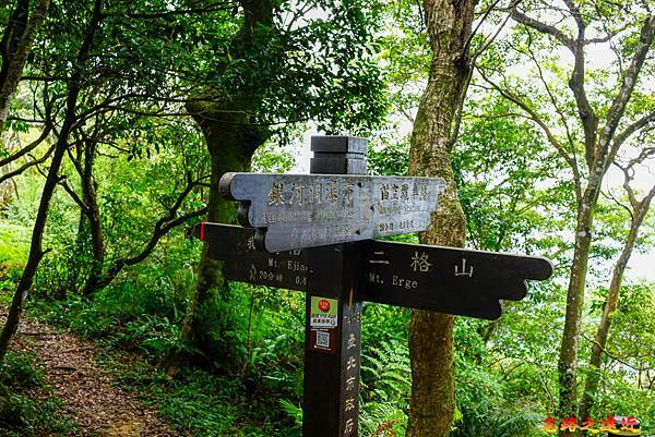 pic pimg tw look2up 1665634148 1849398181 g n jpg