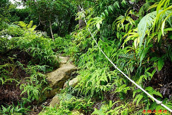 pic pimg tw look2up 1665634251 4082304435 g n jpg