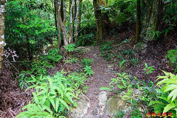 pic pimg tw look2up 1665634251 78250992 g n jpg