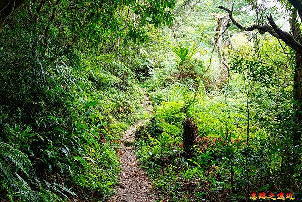 pic pimg tw look2up 1665634252 754718469 g n jpg