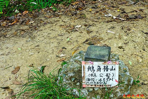 pic pimg tw look2up 1665634253 3038798528 g n jpg