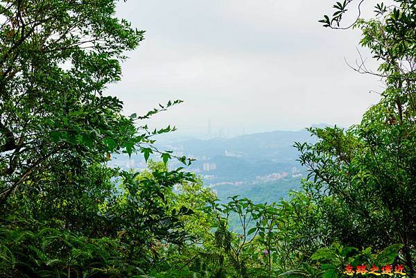 pic pimg tw look2up 1665634253 3933424783 g n jpg