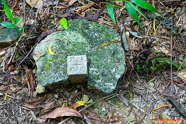 pic pimg tw look2up 1665634255 3408093667 g n jpg