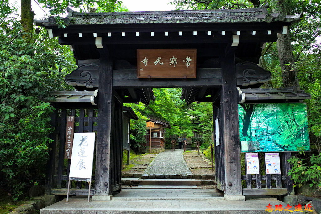 pic pimg tw look2up 1674974657 3551601051 g jpg