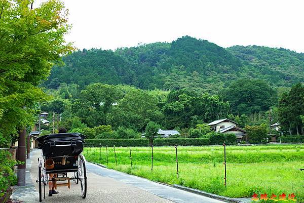 pic pimg tw look2up 1674974657 876439317 g n jpg