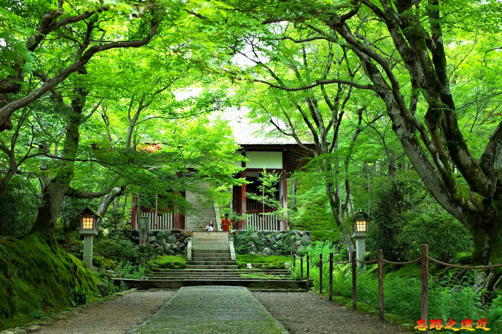 pic pimg tw look2up 1674974660 2556000947 g jpg