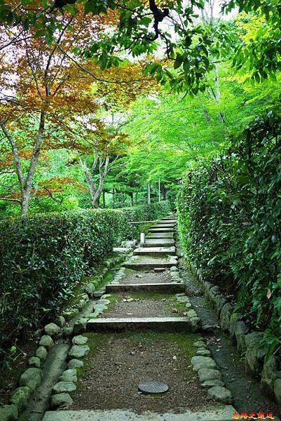 pic pimg tw look2up 1674974660 3663939881 g n jpg