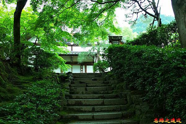 pic pimg tw look2up 1674974665 3067524779 g n jpg