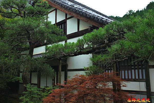 pic pimg tw look2up 1674974665 3936706513 g n jpg