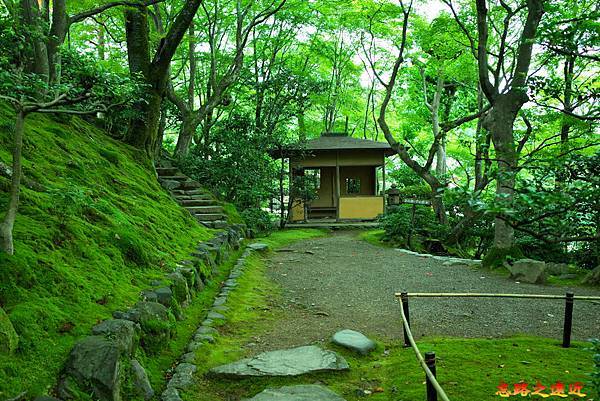 pic pimg tw look2up 1674974665 458238674 g n jpg