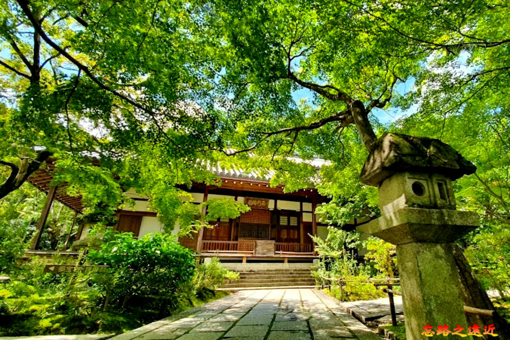 pic pimg tw look2up 1674974668 3501916089 g jpg