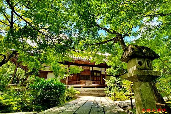 pic pimg tw look2up 1674974668 3501916089 g n jpg