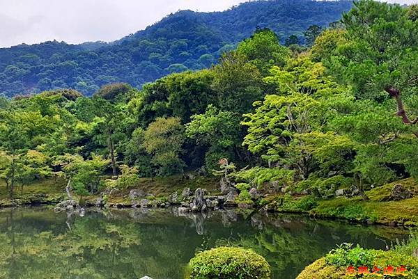 pic pimg tw look2up 1674974668 368164642 g n jpg