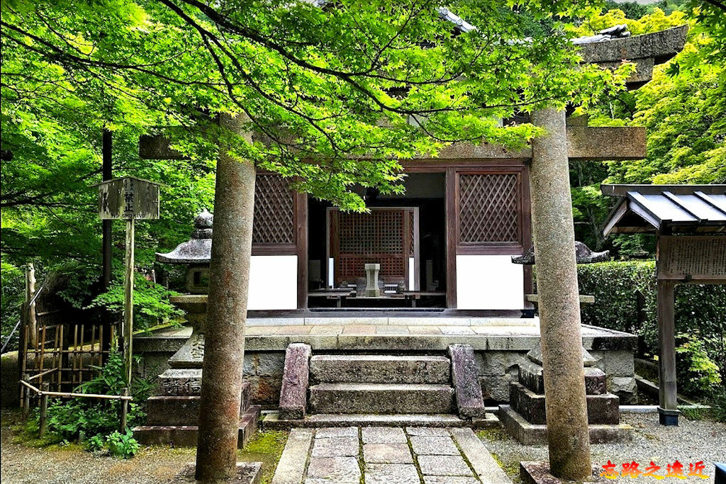 pic pimg tw look2up 1674974670 1633987574 g jpg