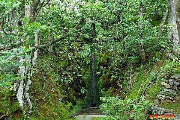 pic pimg tw look2up 1674974670 2064404536 g n jpg