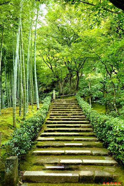 pic pimg tw look2up 1674974671 1507195840 g n jpg