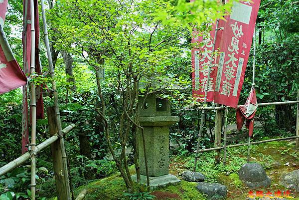 pic pimg tw look2up 1674974671 3425661234 g n jpg