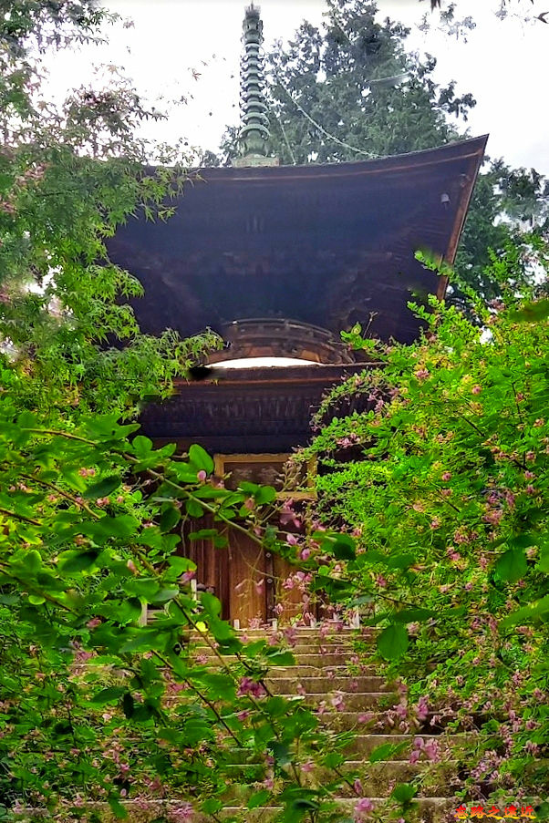 pic pimg tw look2up 1674974673 985587785 g jpg